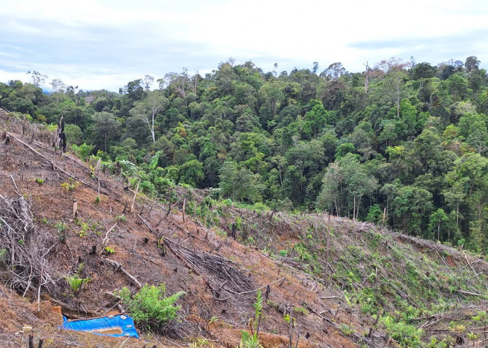 Konflik Tanah dengan Aset Negara, UU Reforma Agraria Buka Peluang Pemulihan Hak Warga