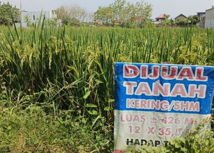 Meski Menang di Pengadilan, Mengapa Tanah Sengketa Belum Tentu Kembali ke Pemiliknya? Ini Penyebabnya