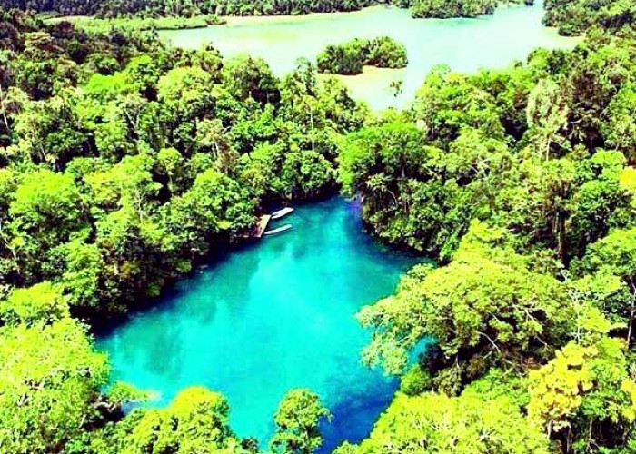 10 Destinasi Wisata Alam Terbaik di Kalimantan: Surga Tersembunyi untuk Para Petualang