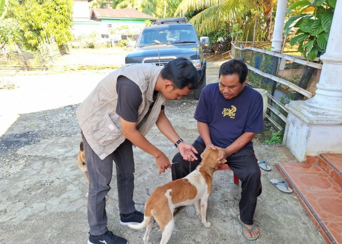  Cegah Rabies,Dinas Pertanian Seluma Gencarkan Vaksinasi HPR