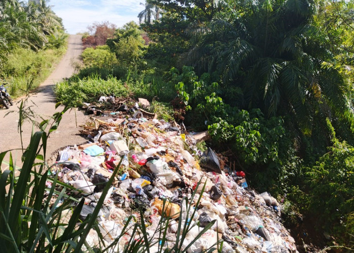 Minim TPS di Seluma, Jalan  Mandi Angin-Napal Jadi Tempat Pembuangan Sampah Liar