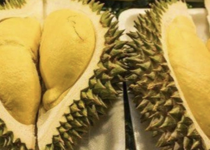 Durian, Beragam Manfaat Cocok Dijadikan Es Cendol Pasti Segar
