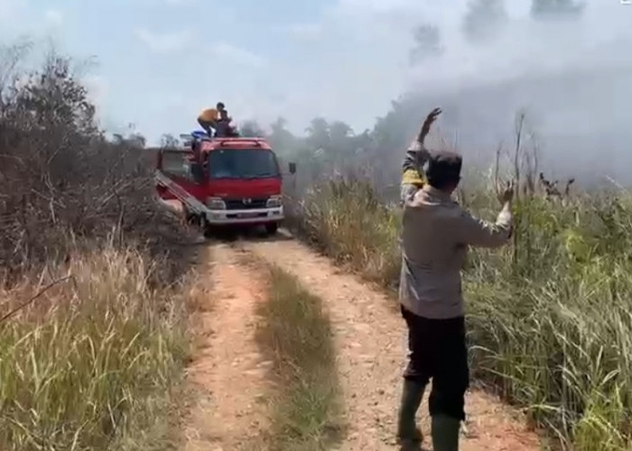  Kebakaran Lahan Kembali Terjadi di Seluma, Dekat Pasar Sembayat