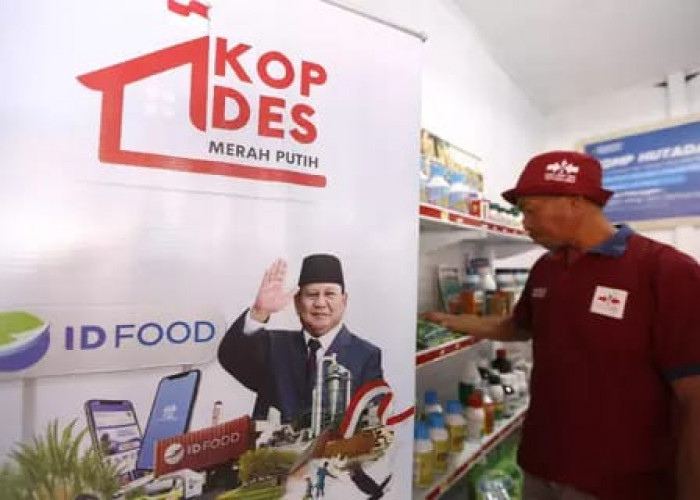 Rekrutmen 30 Ribu Manajer Koperasi Merah Putih Dibuka, Ini Syarat, Jadwal, dan Besaran Gajinya