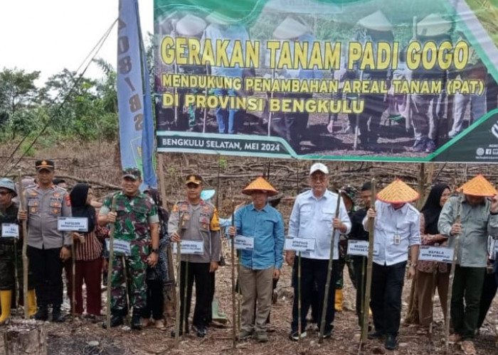  Dirjen Tanaman Pangan, Ikut Terlibat Gerakan Tanam Padi Gogo di Batu Balai Bengkulu Selatan