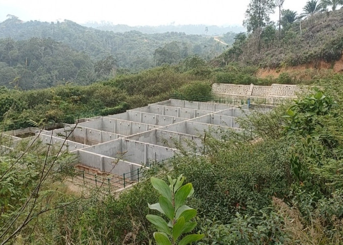    DLH Seluma Arahkan Pembuangan Sampah Langsung ke TPA, TPS Ditutup