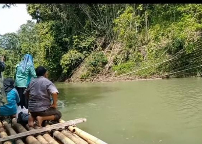 Wisata Ikan Larangan di Desa Taba Lubuk Puding, Segera Dibuka Awal Tahun 2025