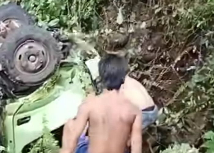 Truk Bermuatan Sawit Terjun ke Jurang di Napal Melintang Seluma, Sopir Luka-Luka 