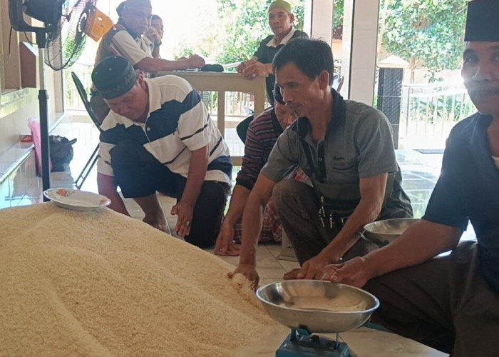   Volume Zakat Fitrah 2026 di Seluma Alami Peningkatan Signifikan