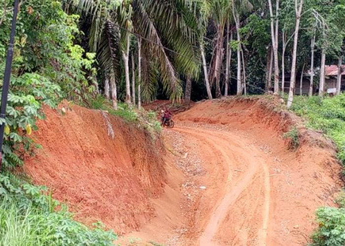 Anggaran Rp 75 Juta, Desa Air Latak Bangun Pembukaan Jalan 950 Meter