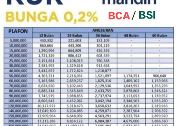 WOW! Bank Mandiri, BCA, dan BSI  Programkan Dana Pinjaman KUR 2024, Hingga Triliunan Rupiah, Bunga Rendah