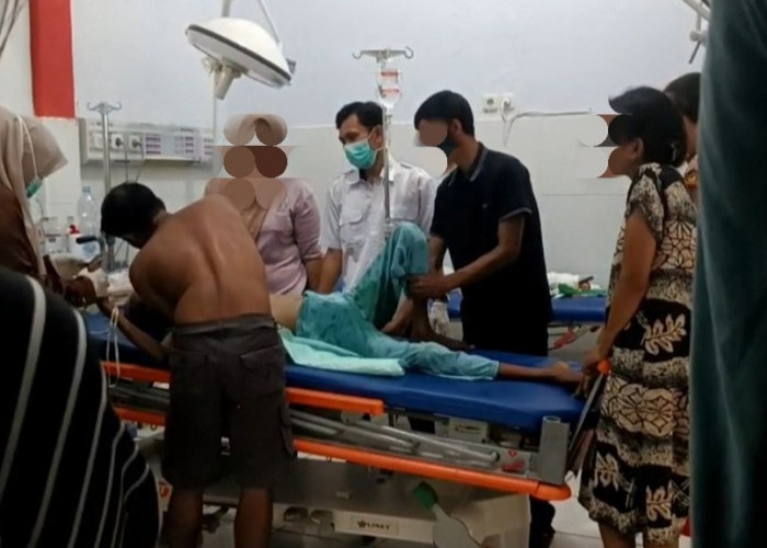   IRT di Ilir Talo Meninggal! Diduga Depresi, Tenggak Racun Rumput