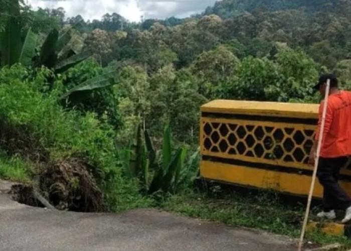 Antisipasi Banjir, BPBD  BS Cek Ketinggian Air di Sungai