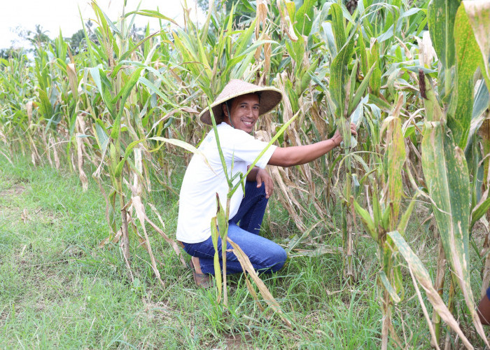Reforma Agraria Lahirkan Regenerasi dan Kreativitas Petani Muda 