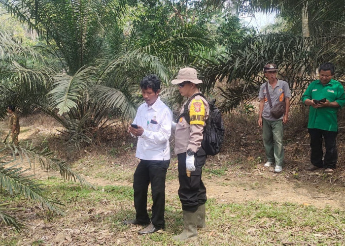 Bhabinkatibmas Polsek Pino bersama Warga dan BKSDA cek TKP Warga melihat Harimau dalam rangka menanggapi keluhan warga di seputar perkebunan milik warga di Desa Sebilau