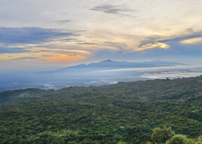 Hobi Liburan, Berikut 7 Cara Antisipasi Risiko Kecelakaan Saat Mendaki Gunung