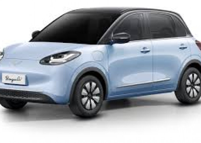 Harga Wuling Air EV dan Binguo EV di GIIAS 2025 Hanya Rp100 Jutaan, Bagaimana di Luar