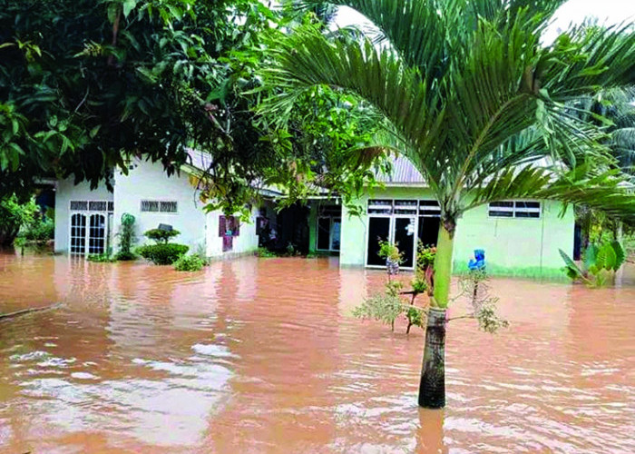 Pascabanjir Dinkes Seluma Imbau Waspada Penyakit