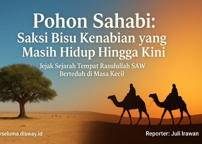 Pohon Sahabi: Saksi Bisu Kenabian yang Masih Hidup Hingga Kini Jejak Sejarah Tempat Rasulullah SAW Berteduh