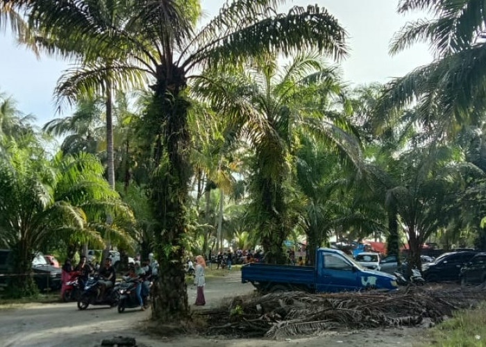 BKSDA Kecam Oknum Pungut Parkir di Pantai Seluma