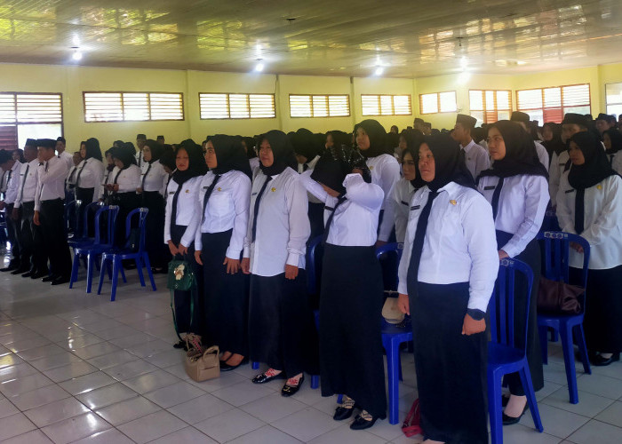 Tiap Bulan Dievaluasi! Tenaga PPPK Pendidikan Bengkulu Selatan Harus Bekerja dengan Baik