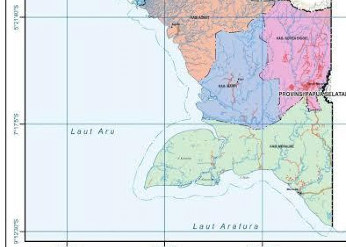 Penataan Ruang Kawasan Swasembada di Papua Selatan Dipercepat