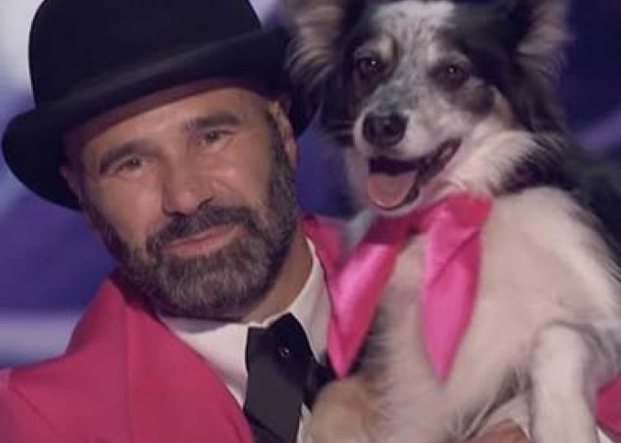  Anjing Hurricane Antarkan Tuannya Adrian Stoica Juara AGT 2023, Berikut Anjing yang Pernah Jadi Bintangi Film