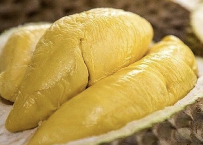 Simak! Cara Memilih Buah Durian, Rasanya Enak dan Manis 
