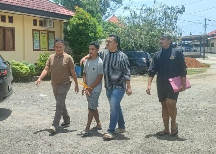  Polres Seluma Ciduk  Humas PT SIL, Edarkan Ganja