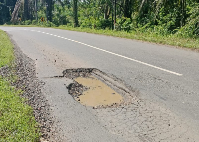 Jelang Nataru, Jalan Lintas Provinsi di Seluma Kembali Rusak dan Berlubang