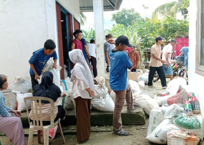    Desa di Seluma Ini Beli Pupuk dari Dana Desa, Bagikan ke Warga 