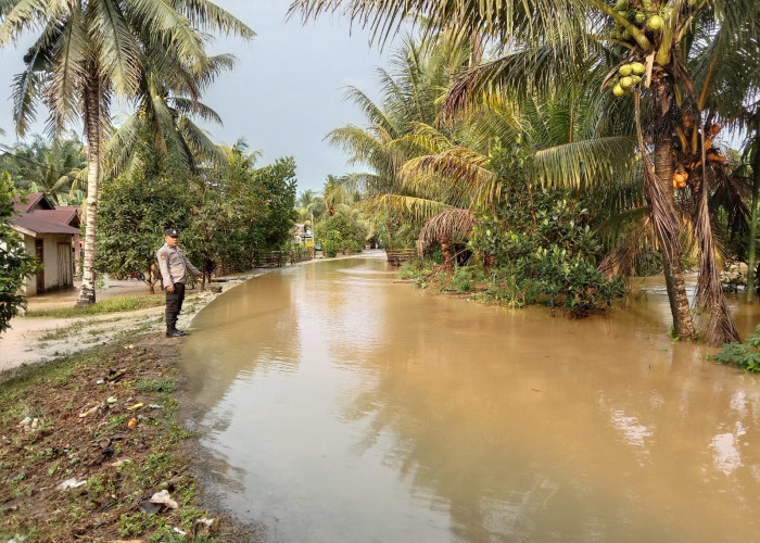   Hujan, Puluhan Rumah Warga Seluma Terendam Banjir dan Tanah Longsor