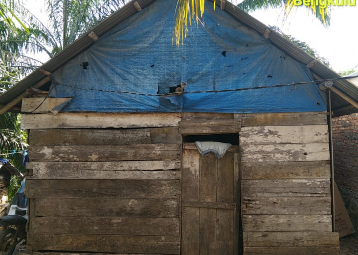 Berdinding Bambu Lantai Tanah, Pemkab Seluma Tolong Bantu Beberapa Warga Desa Air Latak!