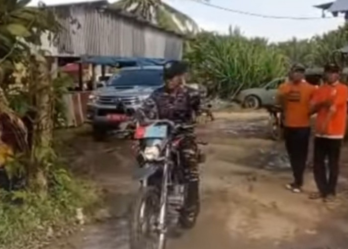 Pemkab Bengkulu Selatan  Bongkar Paksa Warung Remang-Remang Ilegal