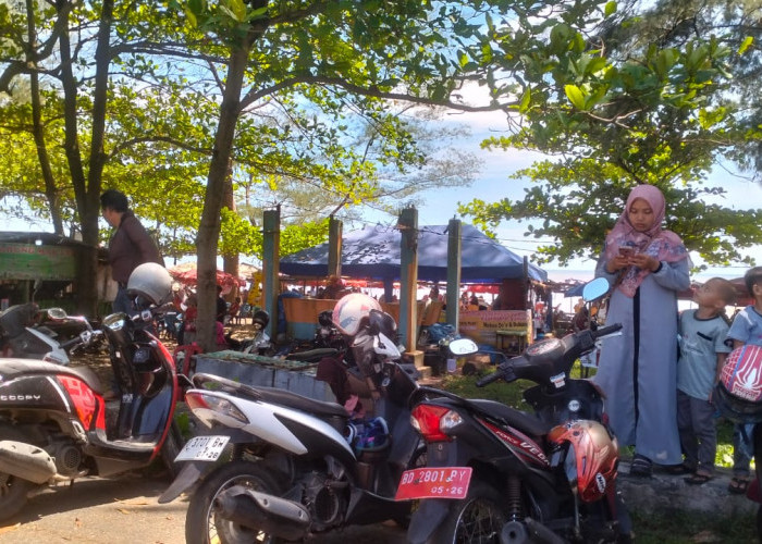 Libur Panjang Bawa Berkah, Pedagang Buah Kelapa di Pantai Pasar Bawah