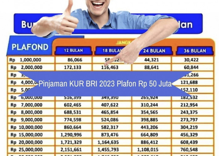 Pinjaman KUR BRI 2023 Peluang Plafon Rp50 Juta Pasti ACC