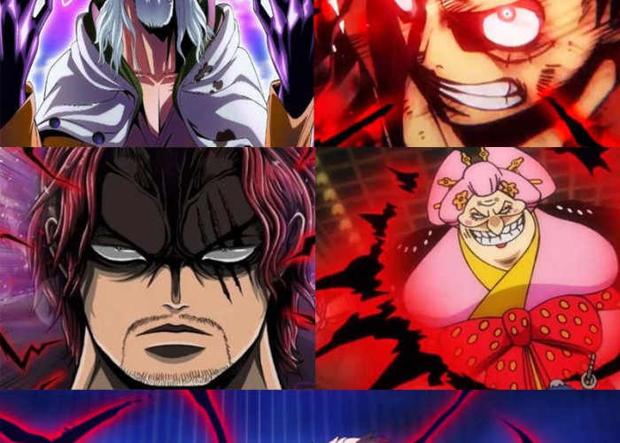One Piece, Momen Haoshoku Haki/Haki Raja Terbaik!!