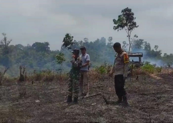  2 Hektar Lebih Lahan Sawit di Seluma, Kembali Terbakar 