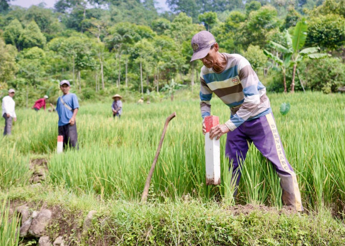 Pasang Patok Batas Tanah, Cegah Sengketa dan Konflik dengan Tetangga