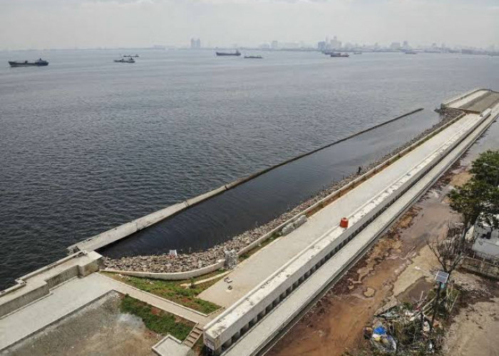 Proyek Tanggul Laut Raksasa Segera Dikebut, ATR/BPN Pastikan Lahan Giant Sea Wall Pantura Aman