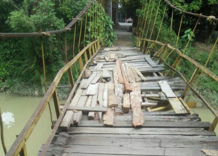  Jembatan Gantung di Desa Keban Jati BS Memprihatinkan, Jalur Sentra Pertanian Warga