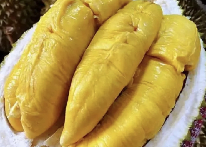 Tempoyak Hidangan Khas dari Durian yang Memikat Selera Memiliki Cita Rasa 