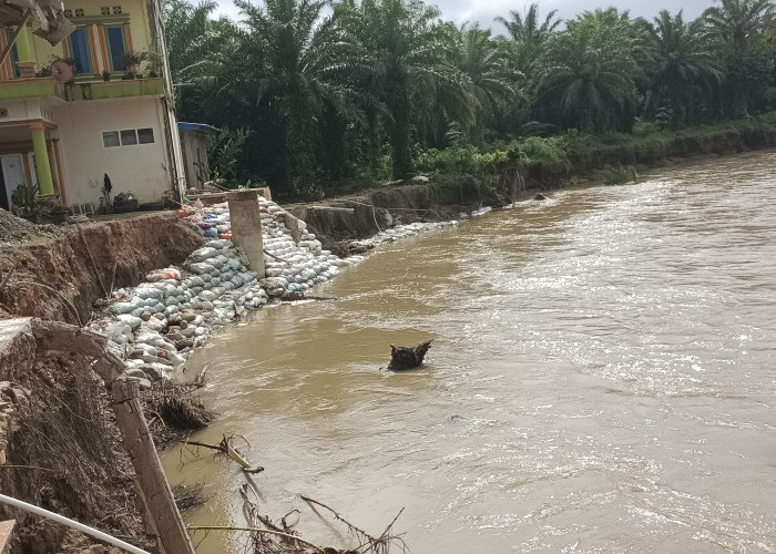  Abrasi Sungai Air Alas Seluma Melebar, Rumah Penduduk Deretan Sungai Terancam