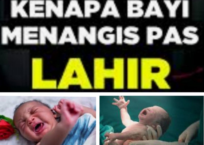 Mengapa Setiap Bayi Lahir Menangis Kecuali Nabi Isa..??? Ini Penyebab nya.