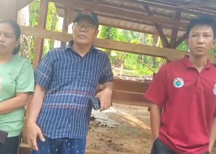  Pengadaan Sapi  BUMDes Nanti Agung Seluma Diprotes BPD