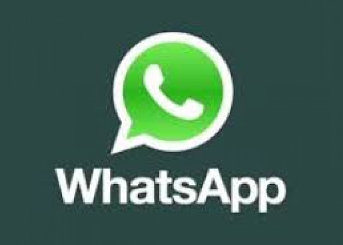  WhatsApp Down, Tidak Bisa Kirim Chat