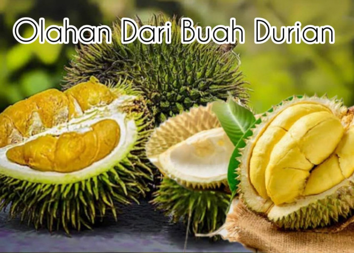 Olahan dari Buah Durian Seluma! Lezat, Manis dan Belum Banyak yang Tahu! Ayo Coba Ini Namanya....