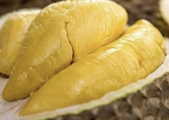 Manfaat Durian Buah Tropis Yang Kaya Nutrisi dan Kesehatan