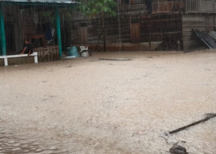 Hujan Deras Picu Banjir di Permukiman dan Sawah Warga Desa Lubuk Resam Seluma
