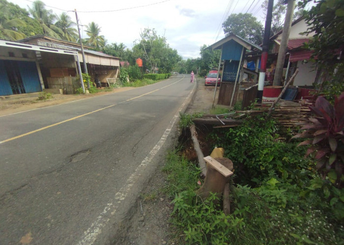 Jalan Lintas Terancam Longsor, Kini Butuh Perbaikan